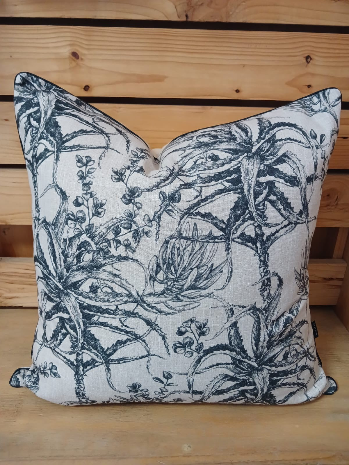 Aloe & Succulents Black Cover