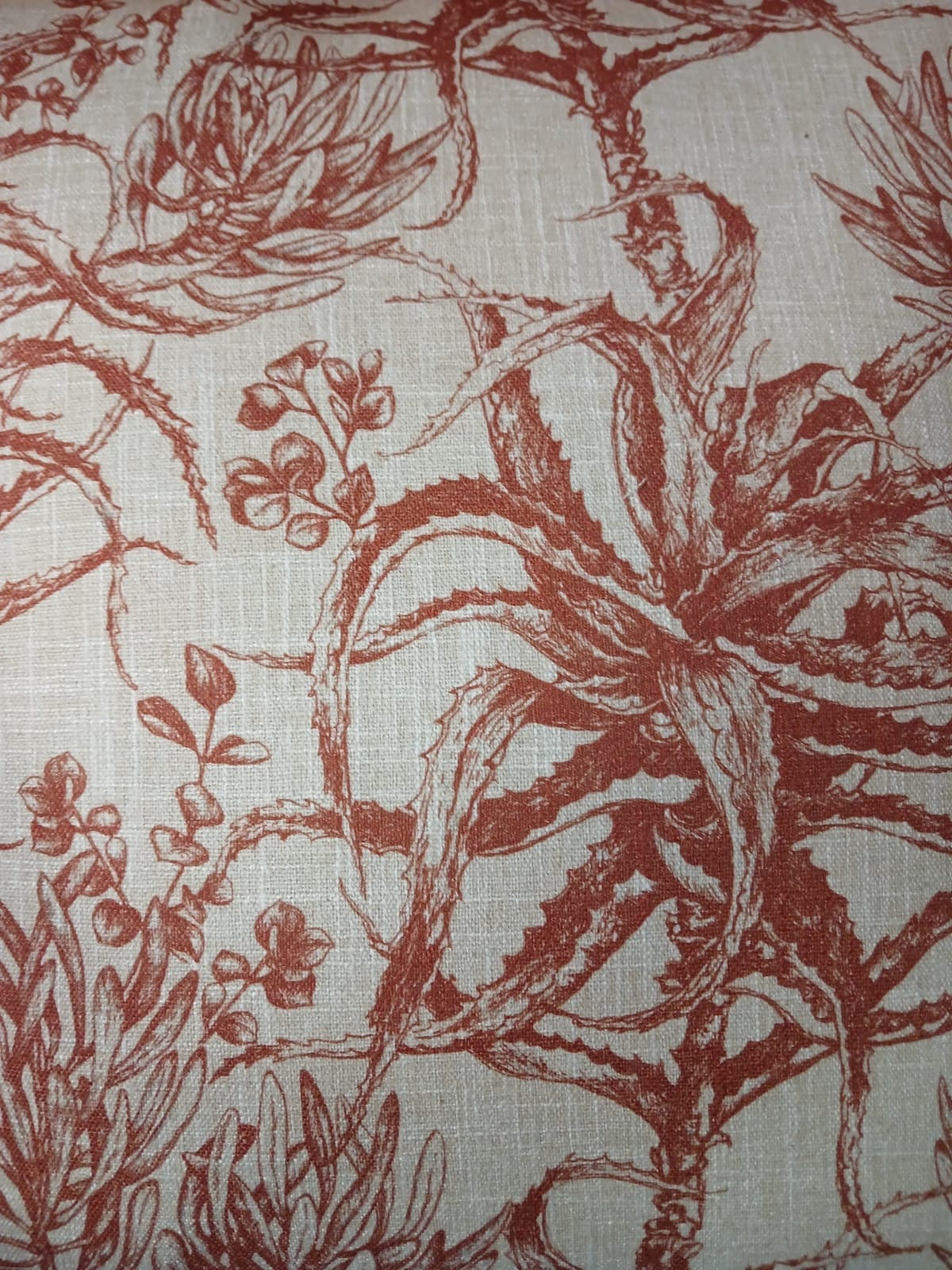 Aloe & Succulents Sienna Cover