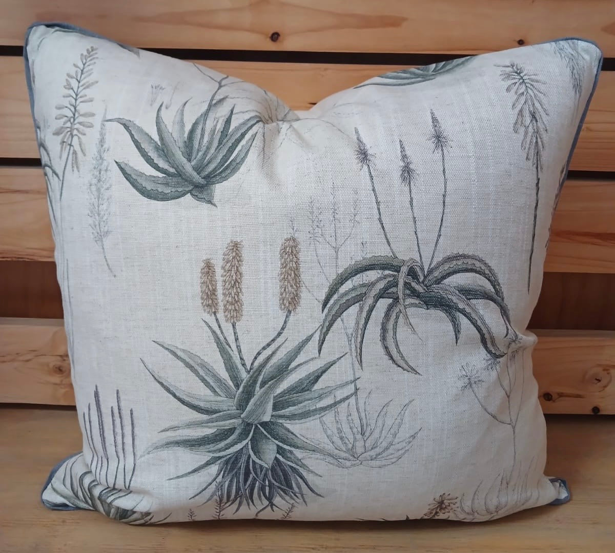 Queens Candelabra Aloe Cover