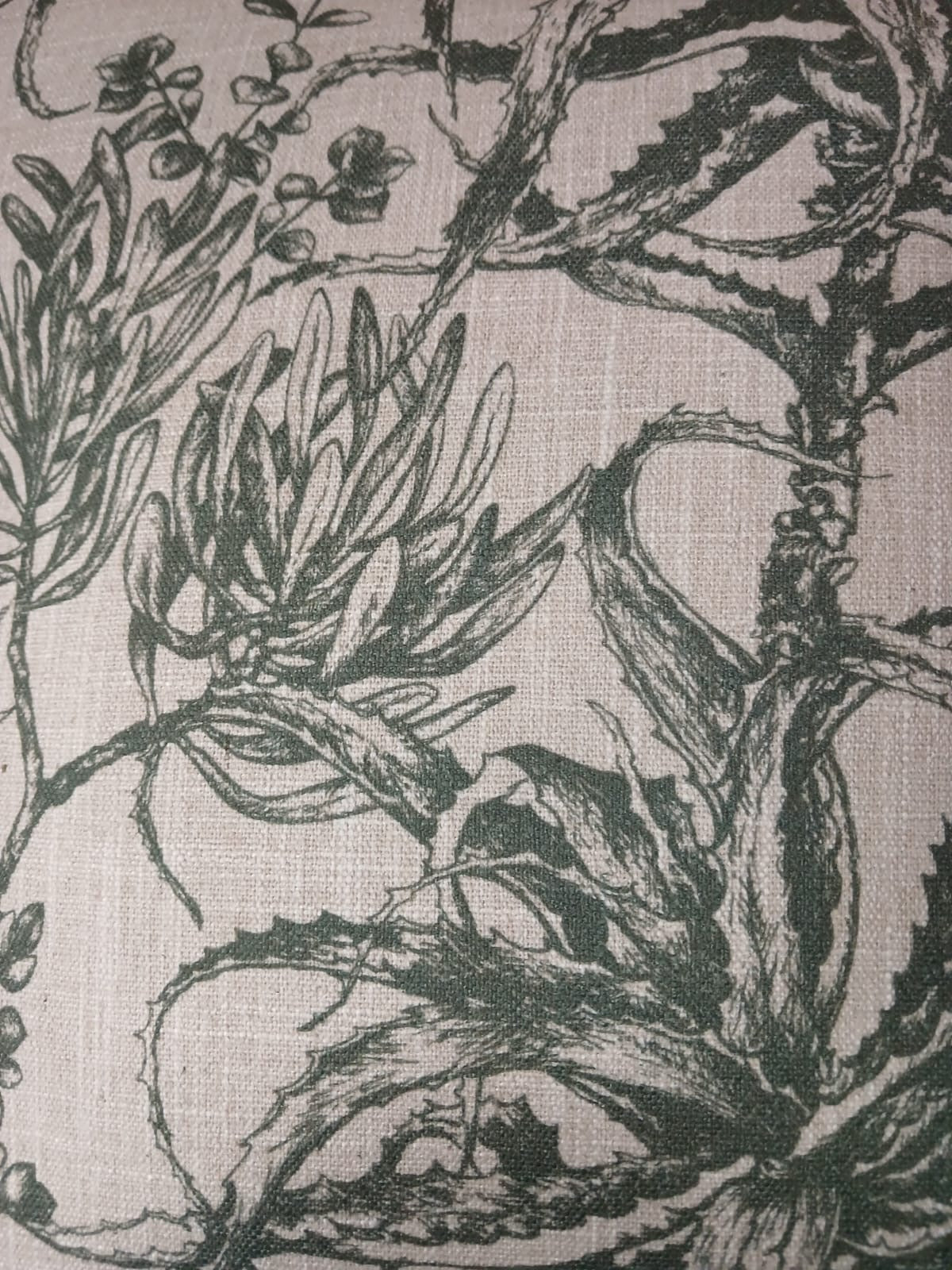 Aloe & Succulents Olive Cover