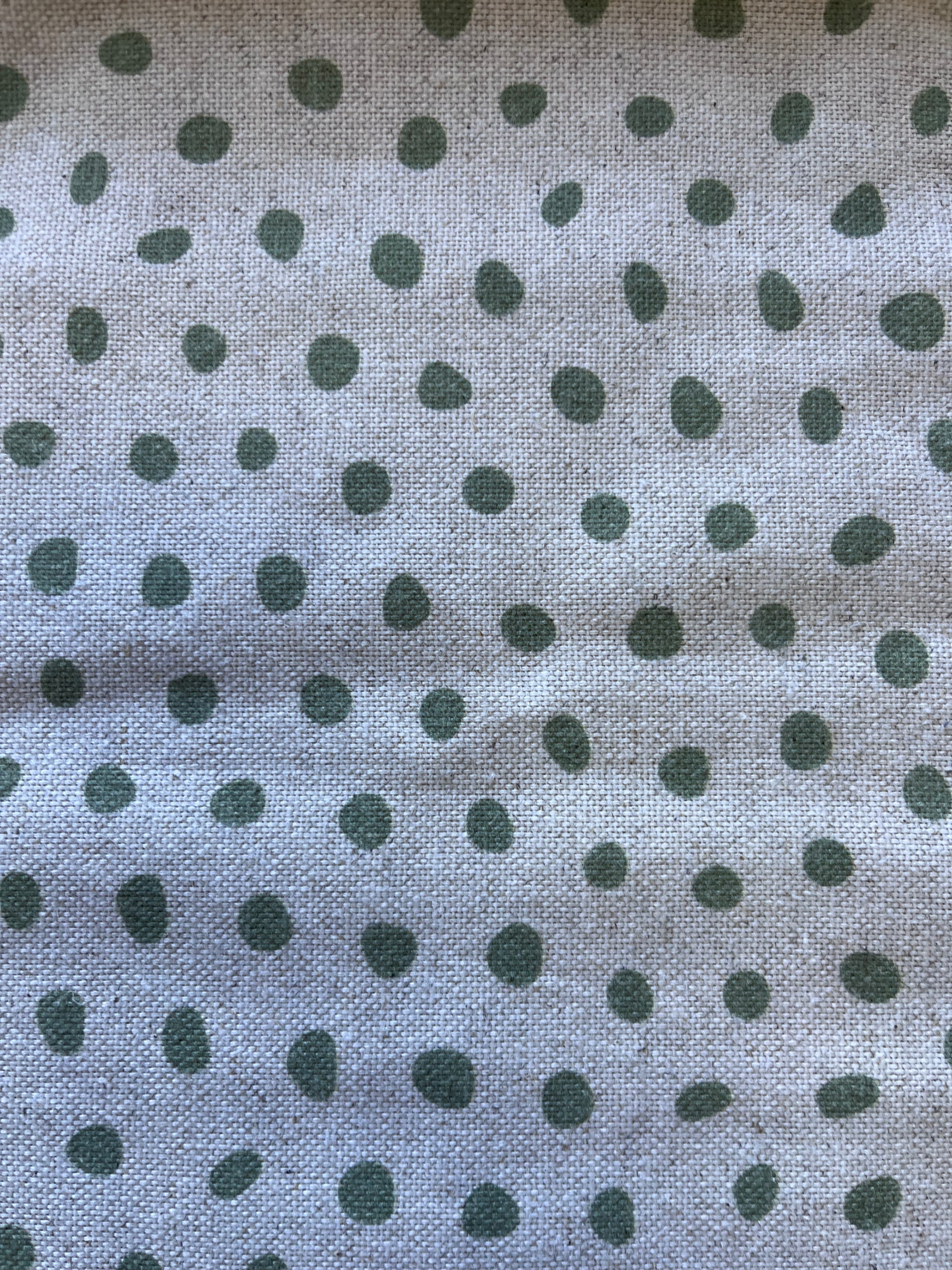 Mountain Leopard Buchu Cover