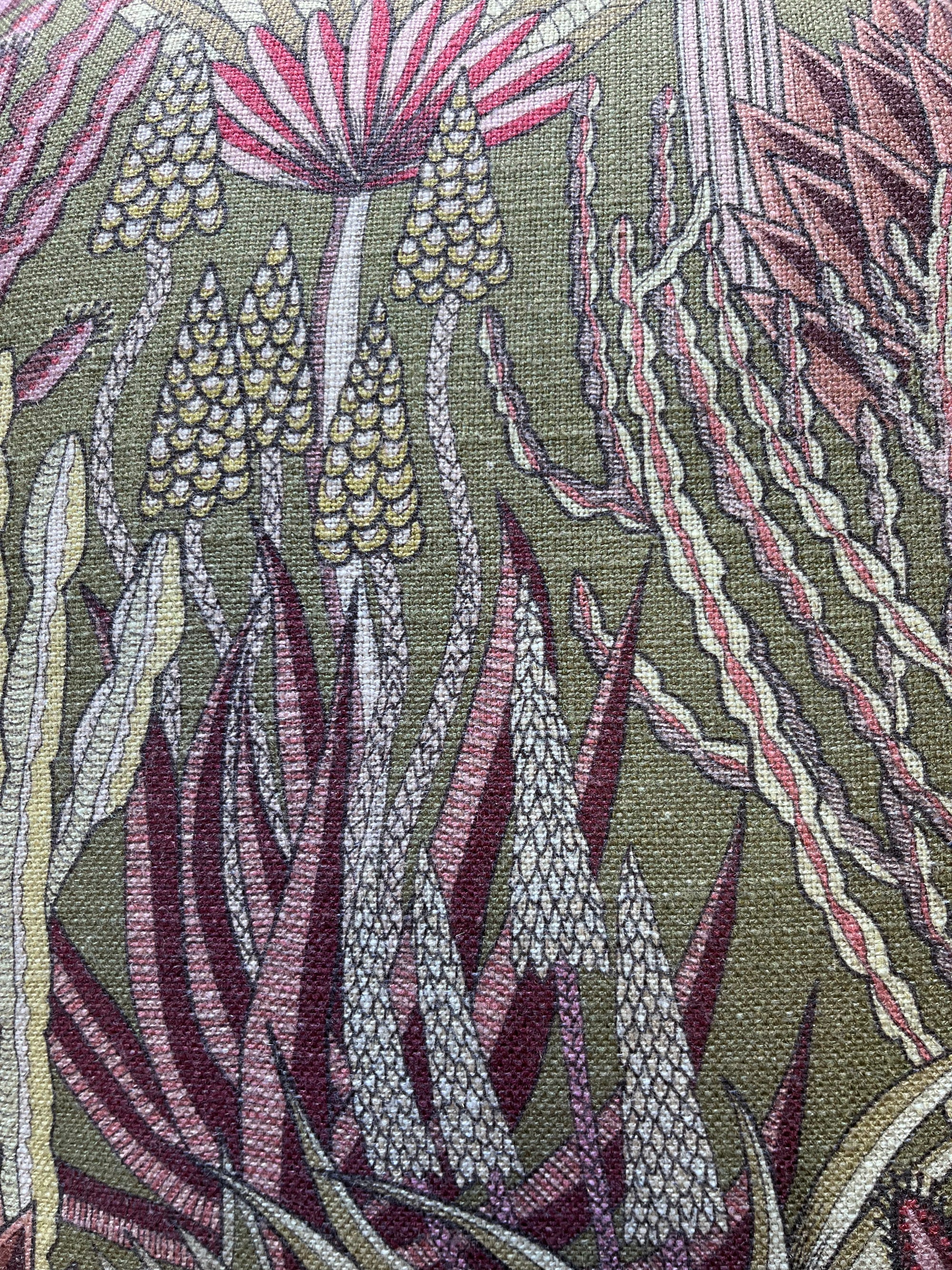 Euphorbia Forest Cover