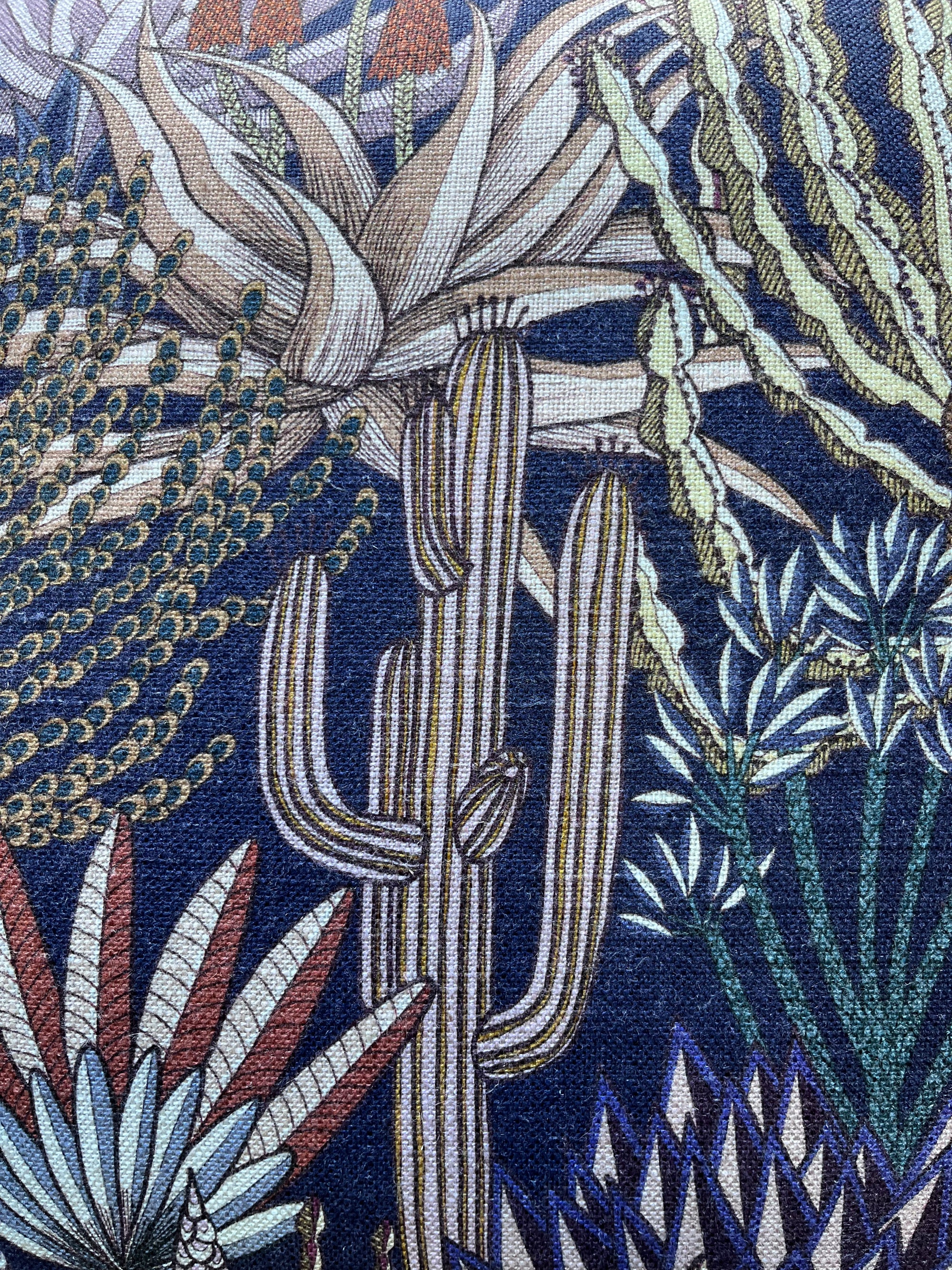 Euphorbia Forest Cover