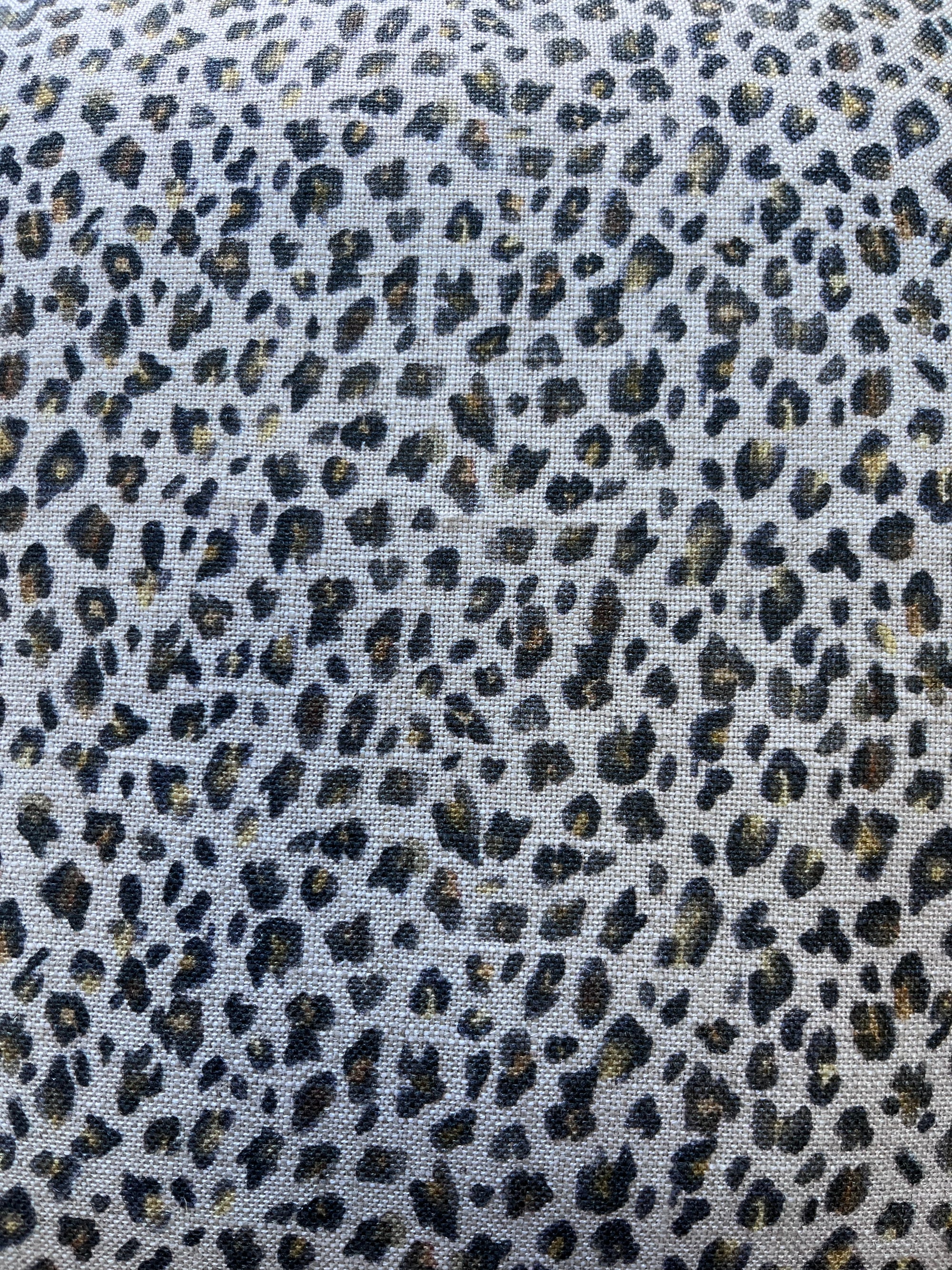 Baby Leopard Cover