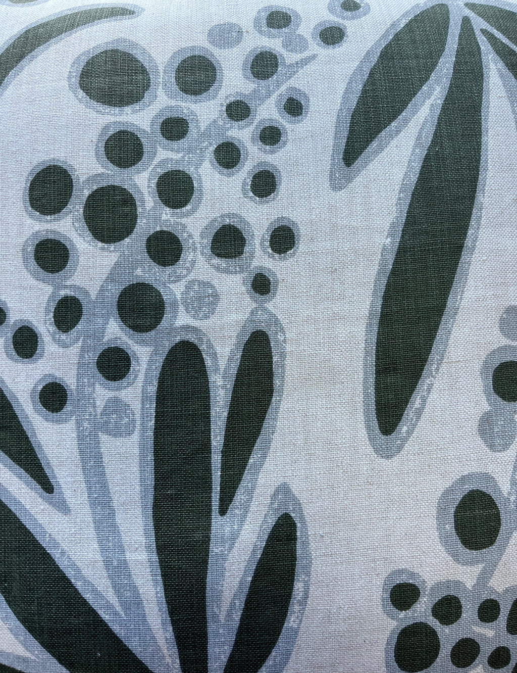 Karoo Aloe Cover