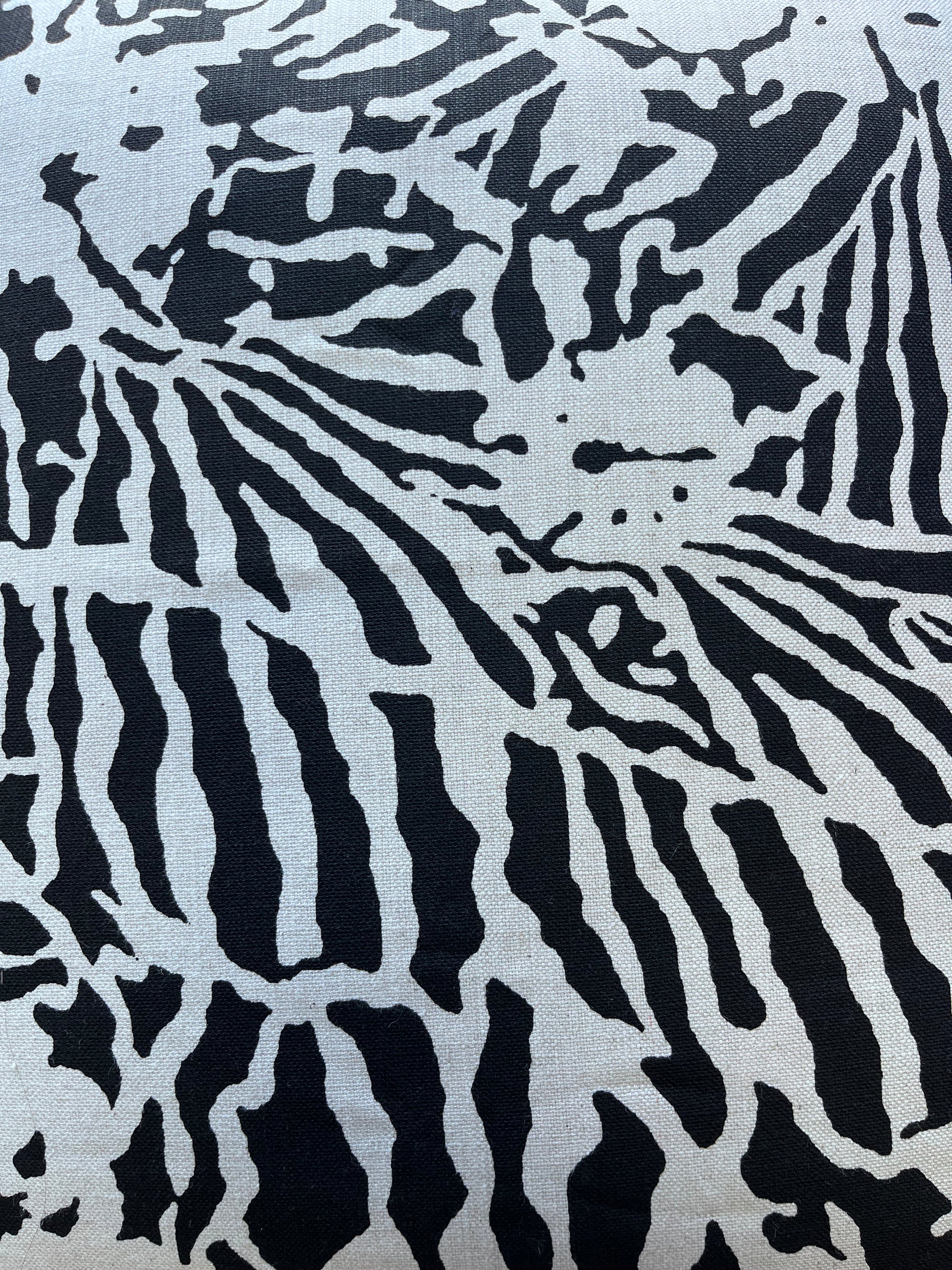 Quagga Night Sky Cover