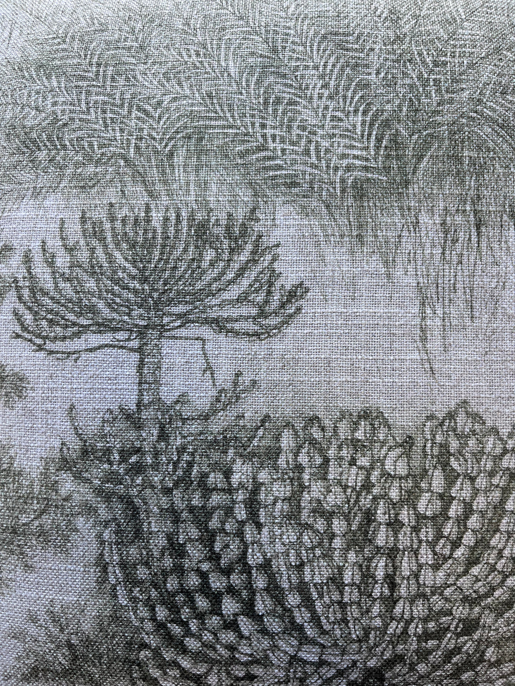 African Toile Spinach Cover