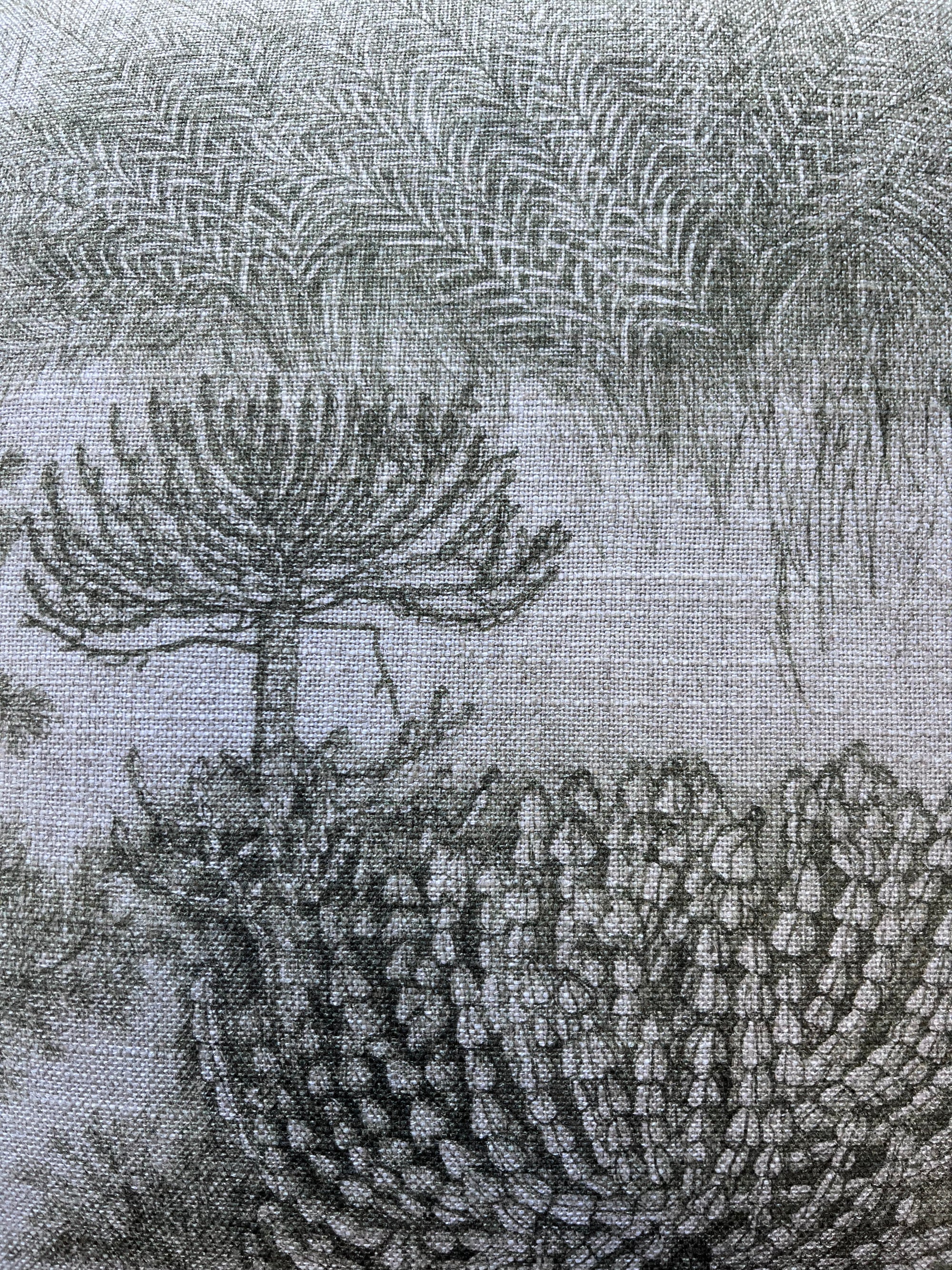 African Toile Spinach Cover