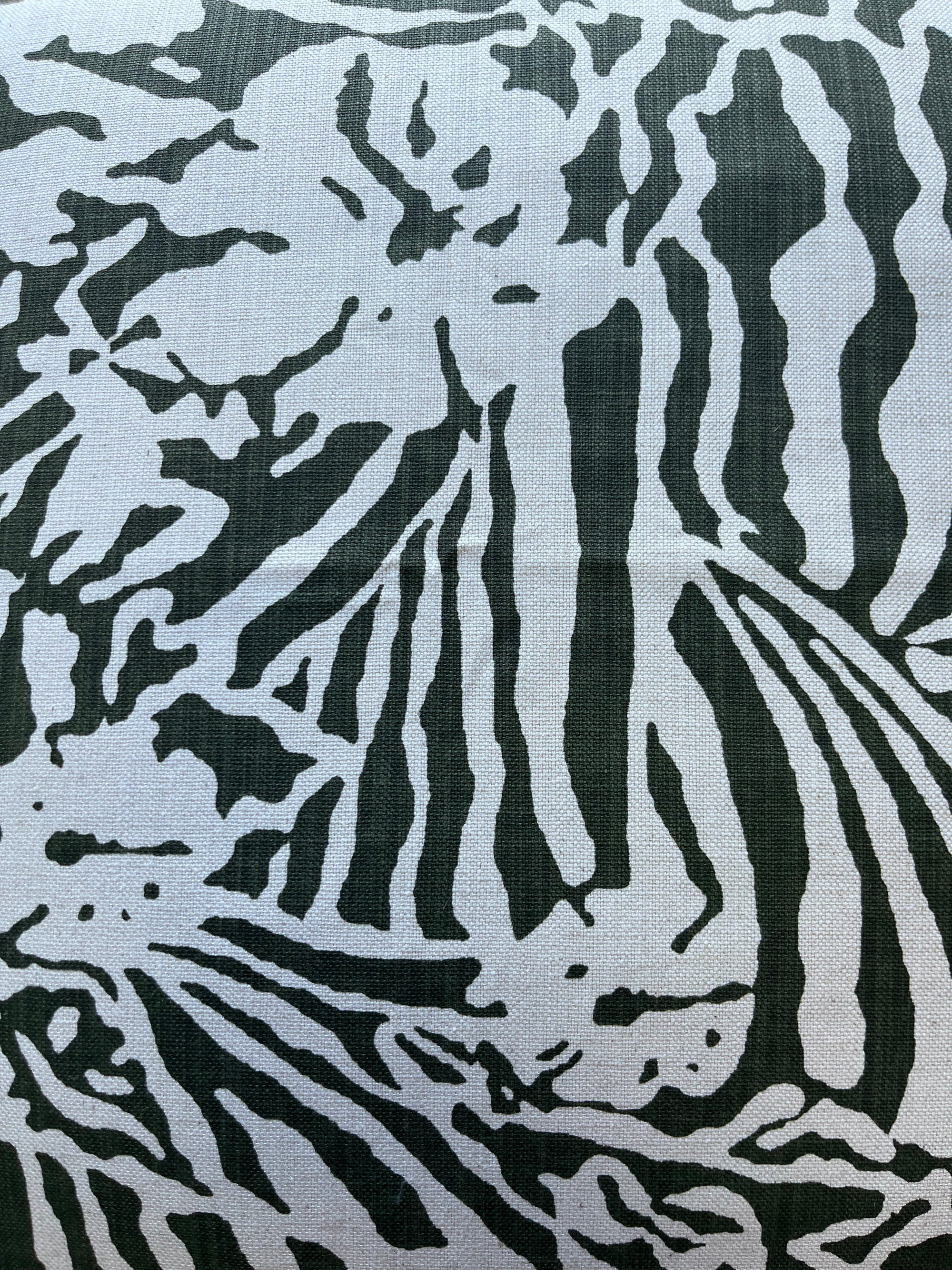 Quagga Aloe Cover