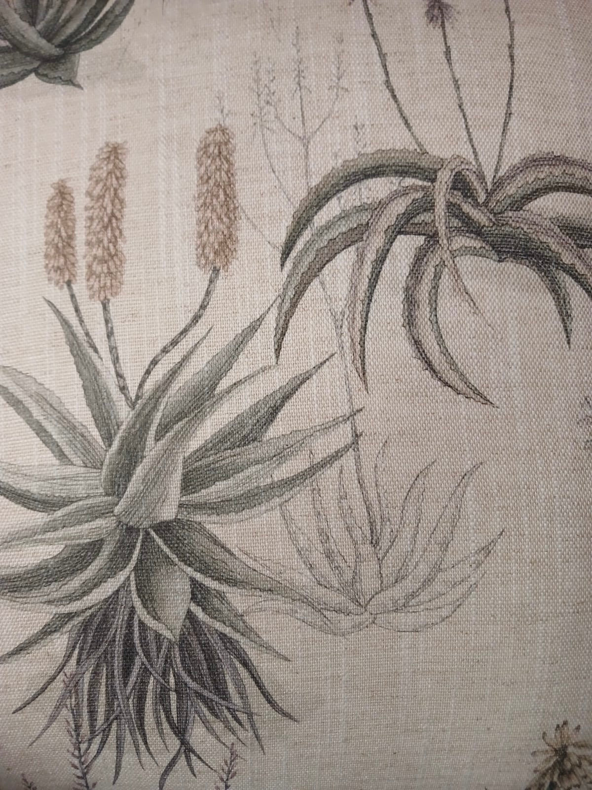 Queens Candelabra Aloe Cover