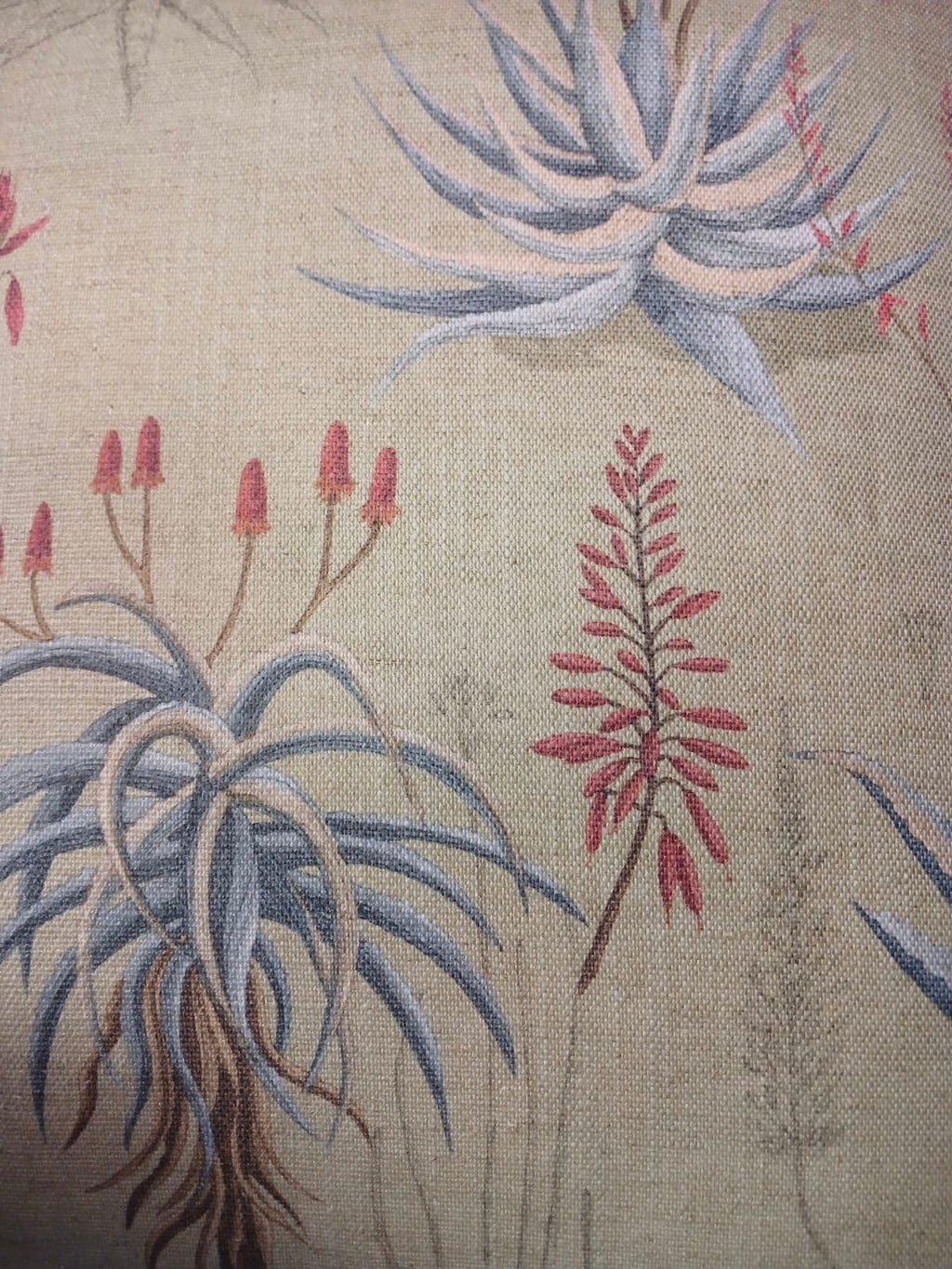 Queens Candelabra Buchu Cover