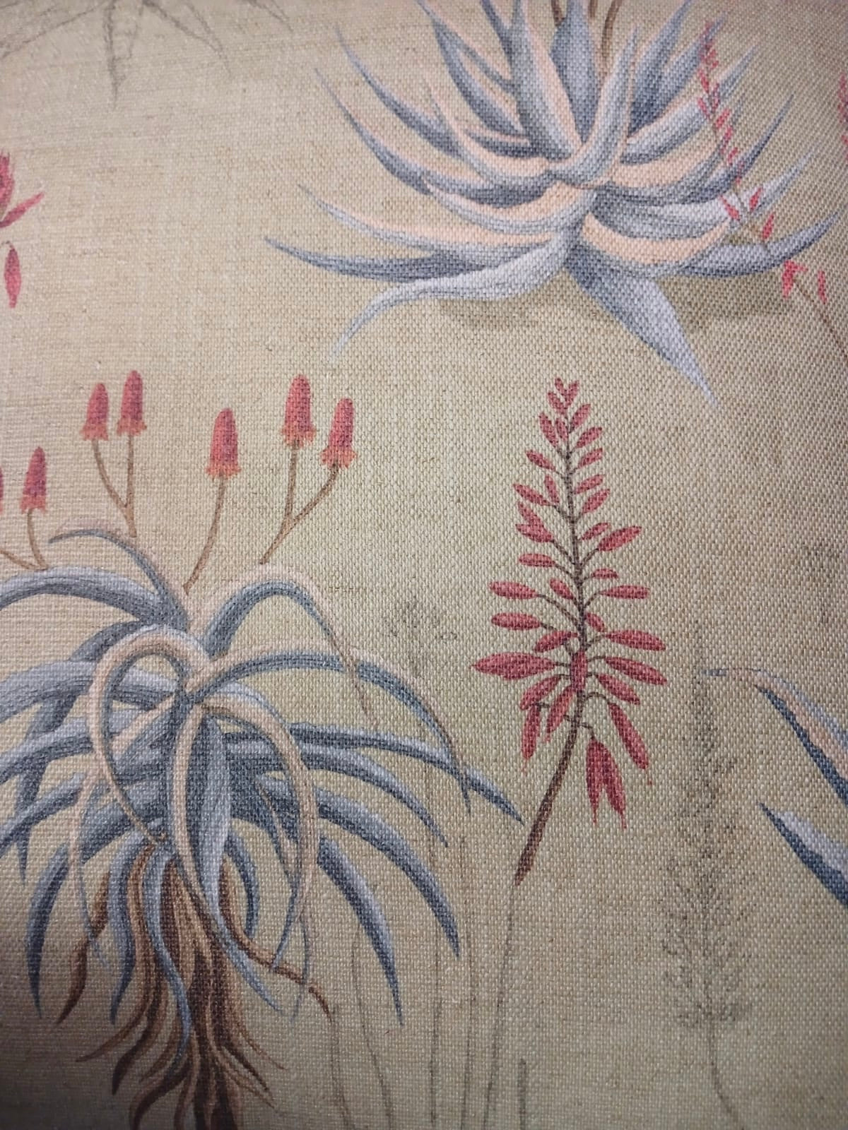 Queens Candelabra Buchu Cover